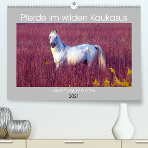 Pferde im wilden Kaukasus (Premium, hochwertiger DIN A2 Wandkalender 2021, Kunstdruck in Hochglanz) von cycleguide