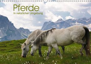 Pferde – In natürlicher Umgebung (Wandkalender 2019 DIN A3 quer) von Niederkofler,  Georg