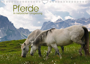 Pferde – In natürlicher Umgebung (Wandkalender 2023 DIN A4 quer) von Niederkofler,  Georg