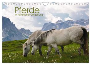 Pferde – In natürlicher Umgebung (Wandkalender 2024 DIN A4 quer), CALVENDO Monatskalender von Niederkofler,  Georg