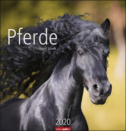 Pferde Kalender 2020 von Slawik,  Christiane, Weingarten