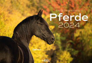 Pferde Kalender 2024