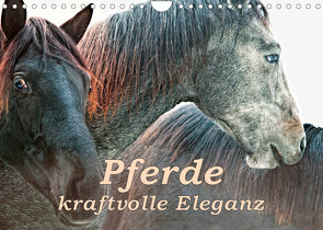 Pferde – kraftvolle Eleganz (Wandkalender 2023 DIN A4 quer) von Brunner-Klaus,  Liselotte