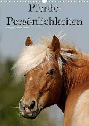 Pferde-Persönlichkeiten – ausdrucksstarke Gesichter verschiedener Pferderassen (Wandkalender 2023 DIN A3 hoch) von Dünisch - www.Ramona-Duenisch.de,  Ramona