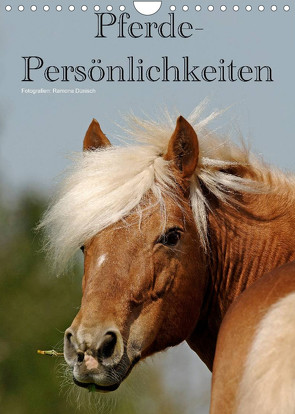Pferde-Persönlichkeiten – ausdrucksstarke Gesichter verschiedener Pferderassen (Wandkalender 2023 DIN A4 hoch) von Dünisch - www.Ramona-Duenisch.de,  Ramona