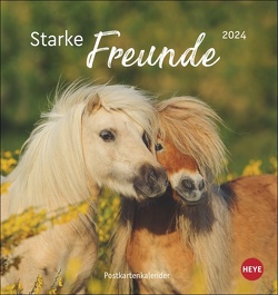 Pferde Postkartenkalender 2024 von Sabine Stuewer