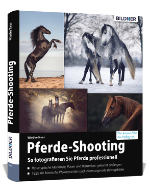Pferde-Shooting von Wiebke,  Haas