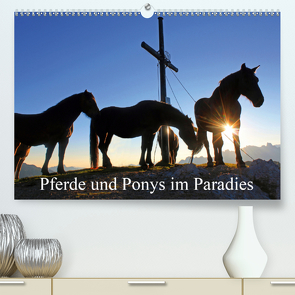 Pferde und Ponys im Paradies (Premium, hochwertiger DIN A2 Wandkalender 2020, Kunstdruck in Hochglanz) von Kramer,  Christa