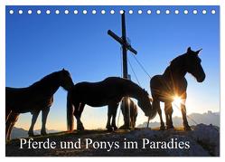 Pferde und Ponys im Paradies (Tischkalender 2024 DIN A5 quer), CALVENDO Monatskalender von Kramer,  Christa