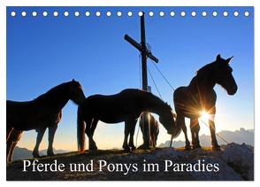Pferde und Ponys im Paradies (Tischkalender 2024 DIN A5 quer), CALVENDO Monatskalender von Kramer,  Christa