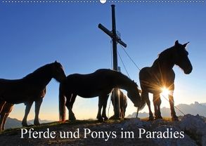 Pferde und Ponys im Paradies (Wandkalender 2018 DIN A2 quer) von Kramer,  Christa