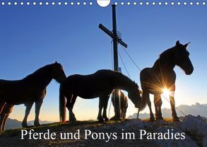 Pferde und Ponys im Paradies (Wandkalender 2019 DIN A4 quer) von Kramer,  Christa