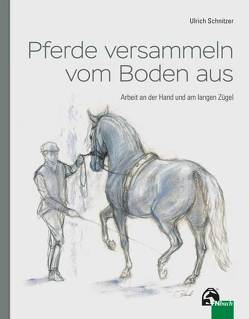 Pferde versammeln vom Boden aus von Schnitzer,  Prof.Dr.-Ing. Ulrich
