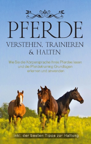 Pferde verstehen, trainieren & halten von Stoer,  Carolin