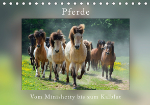 Pferde Vom Minishetty bis zum Kaltblut (Tischkalender 2021 DIN A5 quer) von Beuck,  Angelika