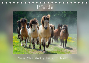 Pferde Vom Minishetty bis zum Kaltblut (Tischkalender 2022 DIN A5 quer) von Beuck,  Angelika