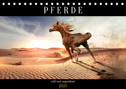 Pferde – wild und ungezähmt (Tischkalender 2023 DIN A5 quer) von Utz,  Renate