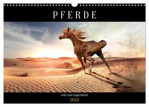 Pferde – wild und ungezähmt (Wandkalender 2024 DIN A3 quer), CALVENDO Monatskalender von Utz,  Renate