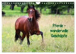Pferde – wundervolle Geschöpfe (Wandkalender 2024 DIN A4 quer), CALVENDO Monatskalender von Blum,  Anja