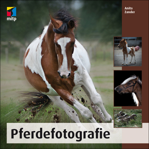 Pferdefotografie von Zander,  Anita