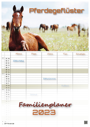 Pferdegeflüster – Der Pferdekalender – 2023 – Kalender DIN A3 – (Familienplaner)