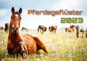 Pferdegeflüster – Der Pferdekalender – 2023 – Kalender DIN A3