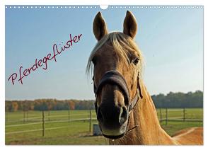Pferdegeflüster (Wandkalender 2024 DIN A3 quer), CALVENDO Monatskalender von Damm,  Andrea