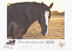 Pferdekalender 2020 von Waldow,  Michael, Wohlleben,  Sandy