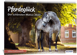 Pferde Kalender 2023 Pferdeglück! Die schönsten Pferdemotive und Aufnahmen 2023 von Haas,  Wiebke