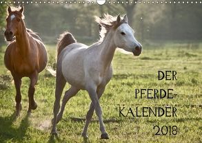 Pferdekalender (Wandkalender 2018 DIN A3 quer) von Zitzler,  Hans