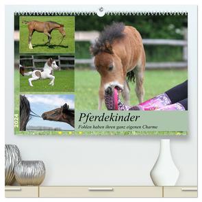 Pferdekinder – Fohlen haben ihren ganz eigenen Charme (hochwertiger Premium Wandkalender 2024 DIN A2 quer), Kunstdruck in Hochglanz von Mielewczyk,  Barbara