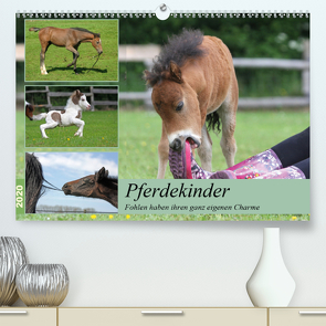 Pferdekinder – Fohlen haben ihren ganz eigenen Charme (Premium, hochwertiger DIN A2 Wandkalender 2020, Kunstdruck in Hochglanz) von Mielewczyk,  Barbara