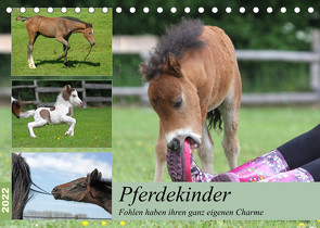 Pferdekinder – Fohlen haben ihren ganz eigenen Charme (Tischkalender 2022 DIN A5 quer) von Mielewczyk,  Barbara