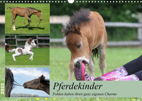 Pferdekinder – Fohlen haben ihren ganz eigenen Charme (Wandkalender 2022 DIN A3 quer) von Mielewczyk,  Barbara