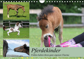 Pferdekinder – Fohlen haben ihren ganz eigenen Charme (Wandkalender 2023 DIN A4 quer) von Mielewczyk,  Barbara
