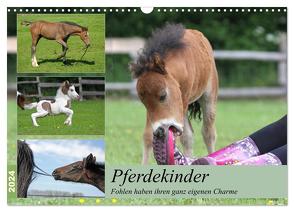 Pferdekinder – Fohlen haben ihren ganz eigenen Charme (Wandkalender 2024 DIN A3 quer), CALVENDO Monatskalender von Mielewczyk,  Barbara