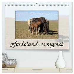 Pferdeland Mongolei (hochwertiger Premium Wandkalender 2024 DIN A2 quer), Kunstdruck in Hochglanz von Beuck,  AJ