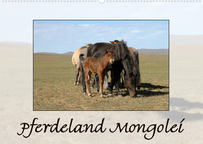 Pferdeland Mongolei (Wandkalender 2022 DIN A2 quer) von Beuck,  AJ