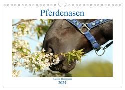Pferdenasen (Wandkalender 2024 DIN A4 quer), CALVENDO Monatskalender von Heepmann - www.Karo-Fotos.de,  Karolin
