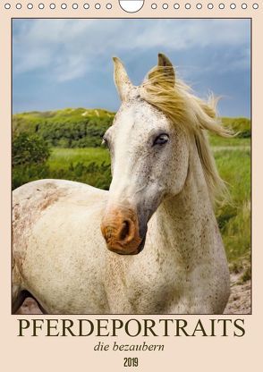 Pferdeportraits die bezaubern (Wandkalender 2019 DIN A4 hoch) von DESIGN Photo + PhotoArt,  AD, Dölling,  Angela