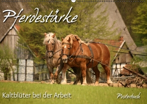 Pferdestärke (PosterbuchDIN A3 quer) von Berg,  Martina