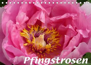 Pfingstrosen (Tischkalender 2022 DIN A5 quer) von Niemela,  Brigitte