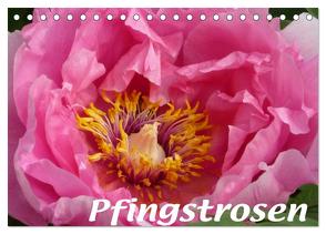 Pfingstrosen (Tischkalender 2024 DIN A5 quer), CALVENDO Monatskalender von Niemela,  Brigitte