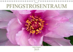 Pfingstrosentraum (Wandkalender 2019 DIN A4 quer) von Kügler,  Antje