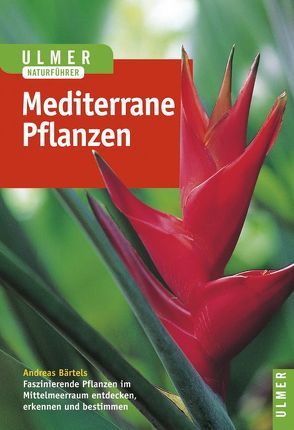 Pflanzen des Mittelmeerraumes von Bärtels,  Andreas