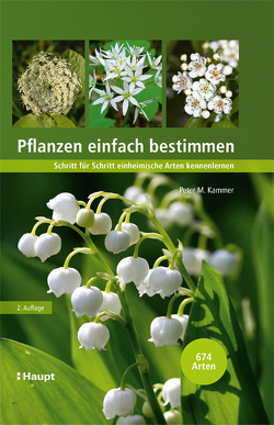 Pflanzen einfach bestimmen von Eggenberg,  Stefan, Kammer,  Peter M.