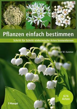 Pflanzen einfach bestimmen von Eggenberg,  Stefan, Kammer,  Peter M.