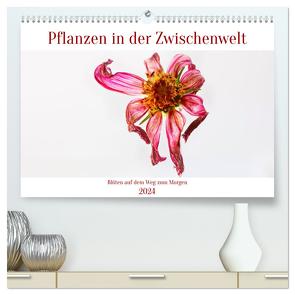 Pflanzen in der Zwischenwelt (hochwertiger Premium Wandkalender 2024 DIN A2 quer), Kunstdruck in Hochglanz von Stenner,  Clemens