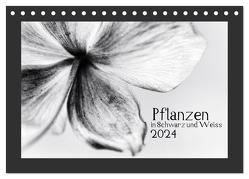 Pflanzen in Schwarz und Weiss / CH-Version (Tischkalender 2024 DIN A5 quer), CALVENDO Monatskalender von Karius,  Kirsten