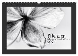 Pflanzen in Schwarz und Weiss / CH-Version (Wandkalender 2024 DIN A3 quer), CALVENDO Monatskalender von Karius,  Kirsten